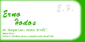 erno hodos business card